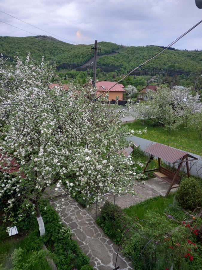 Лаванда Яремча Экстерьер фото