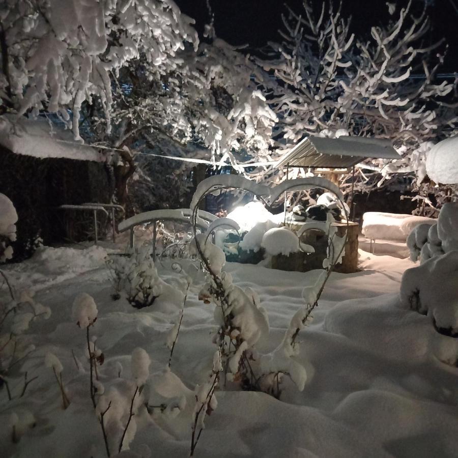 Лаванда Яремча Экстерьер фото
